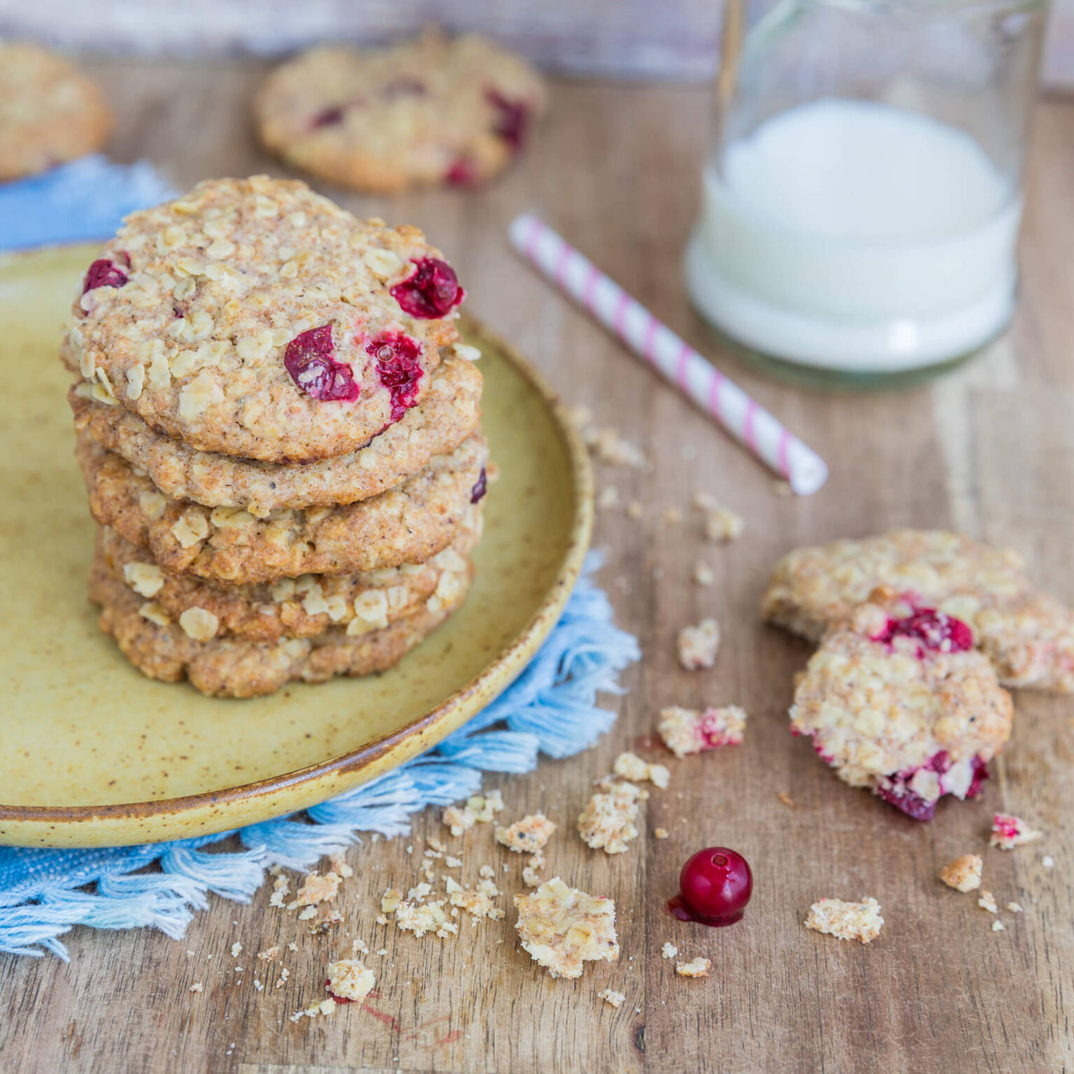 SteviaSweet | Biscuits Aux Canneberges